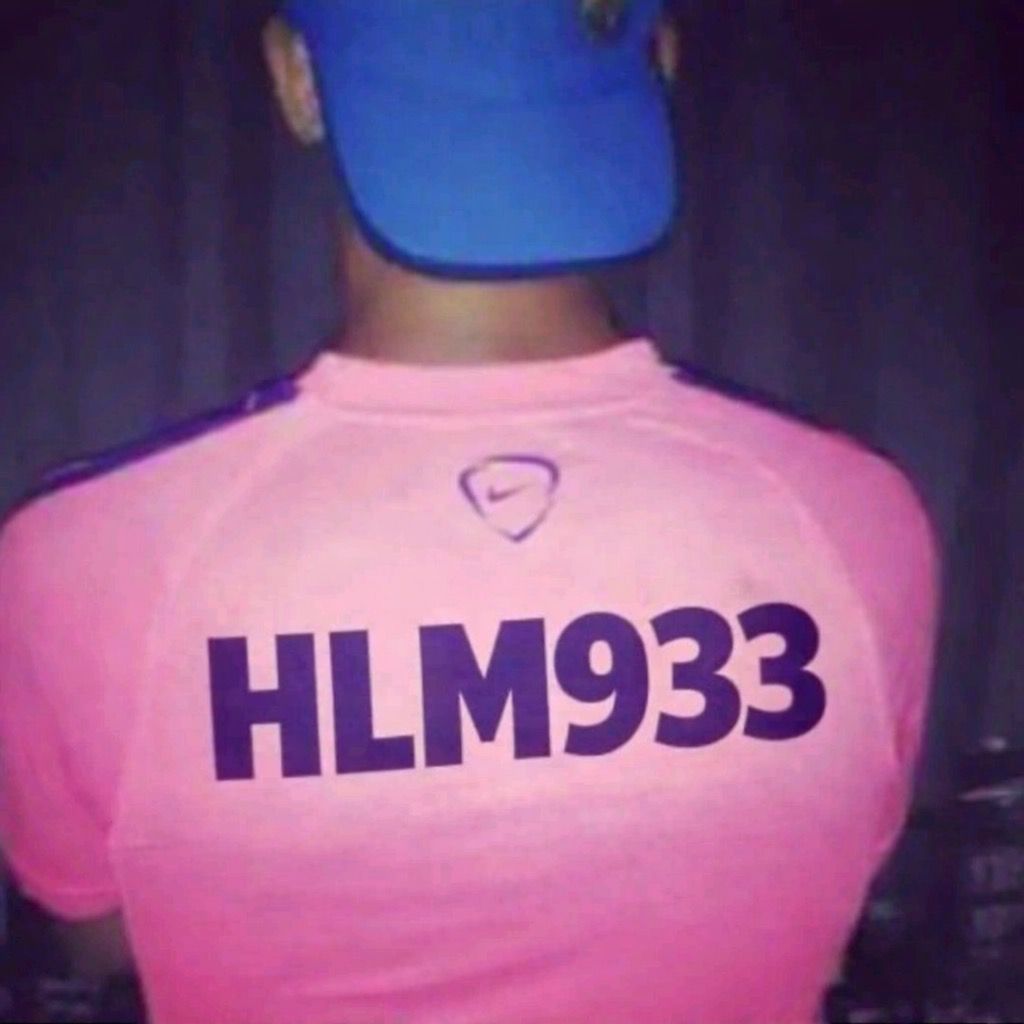 HLM933