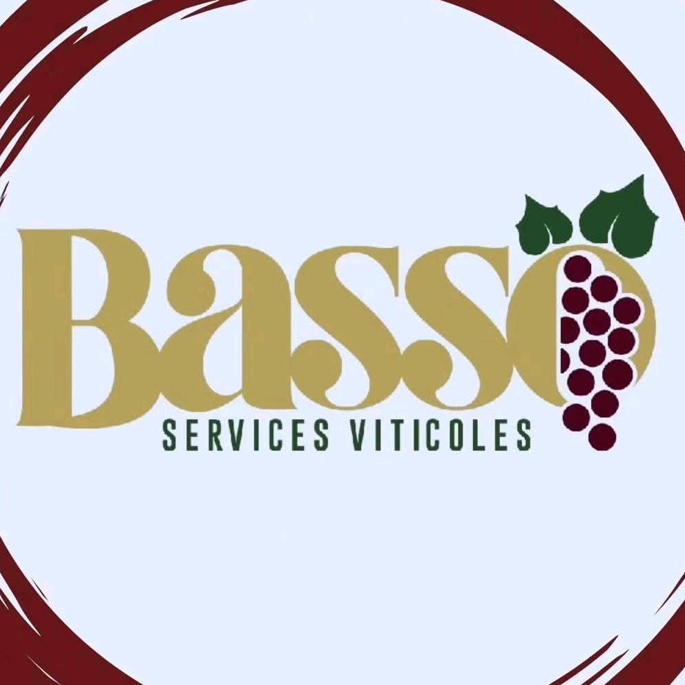 BASSO VITICULTURA