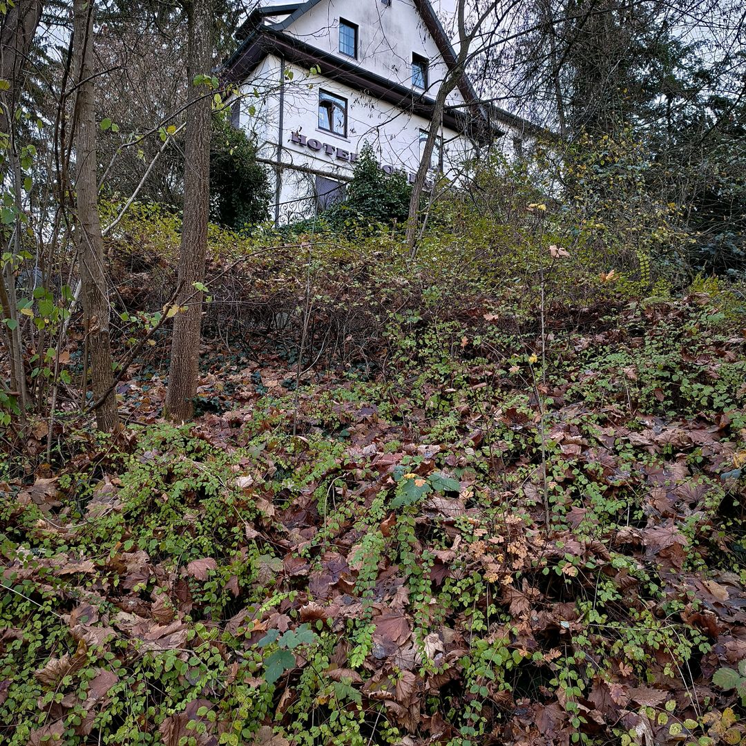 bw