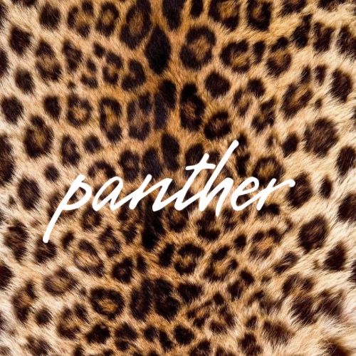 panthercases