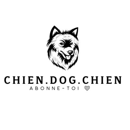 chien.dog.chien ✪