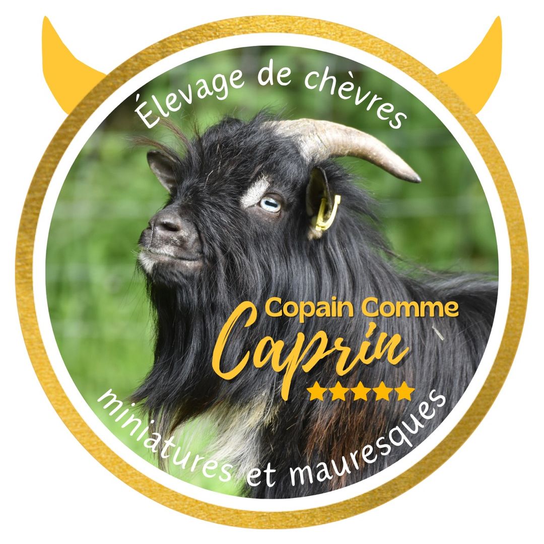 Copain comme caprin