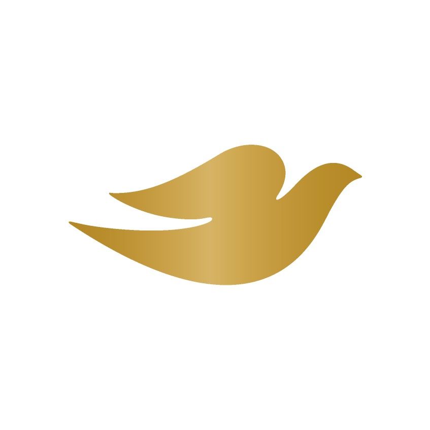 Dove Beauty & Personal Care