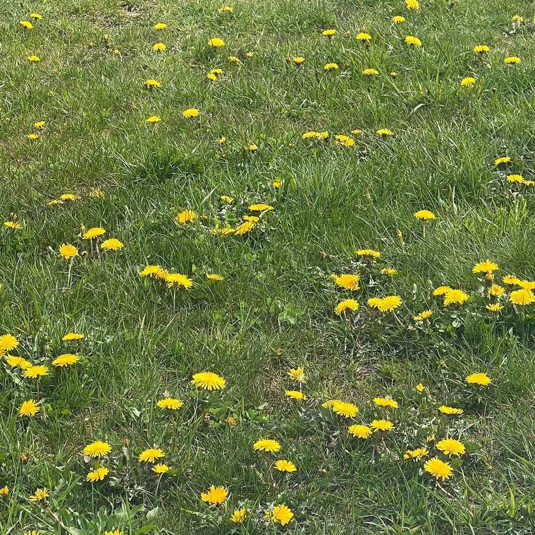 Geneva