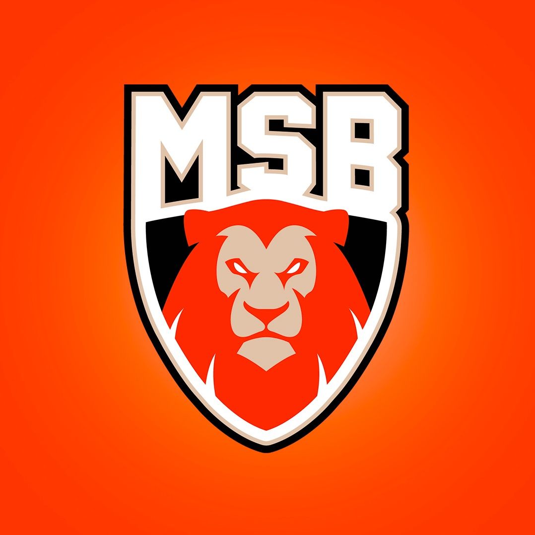 Le Mans Sarthe Basket