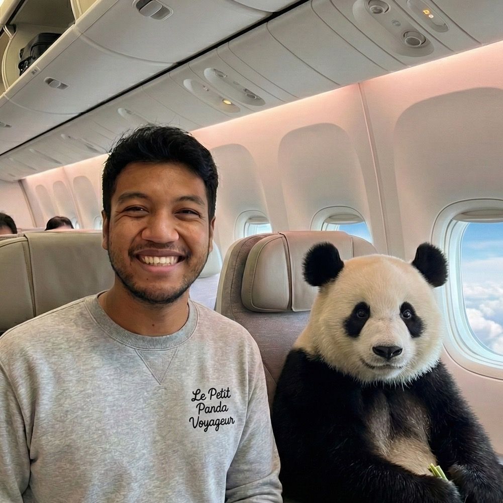 Le petit Panda voyageur