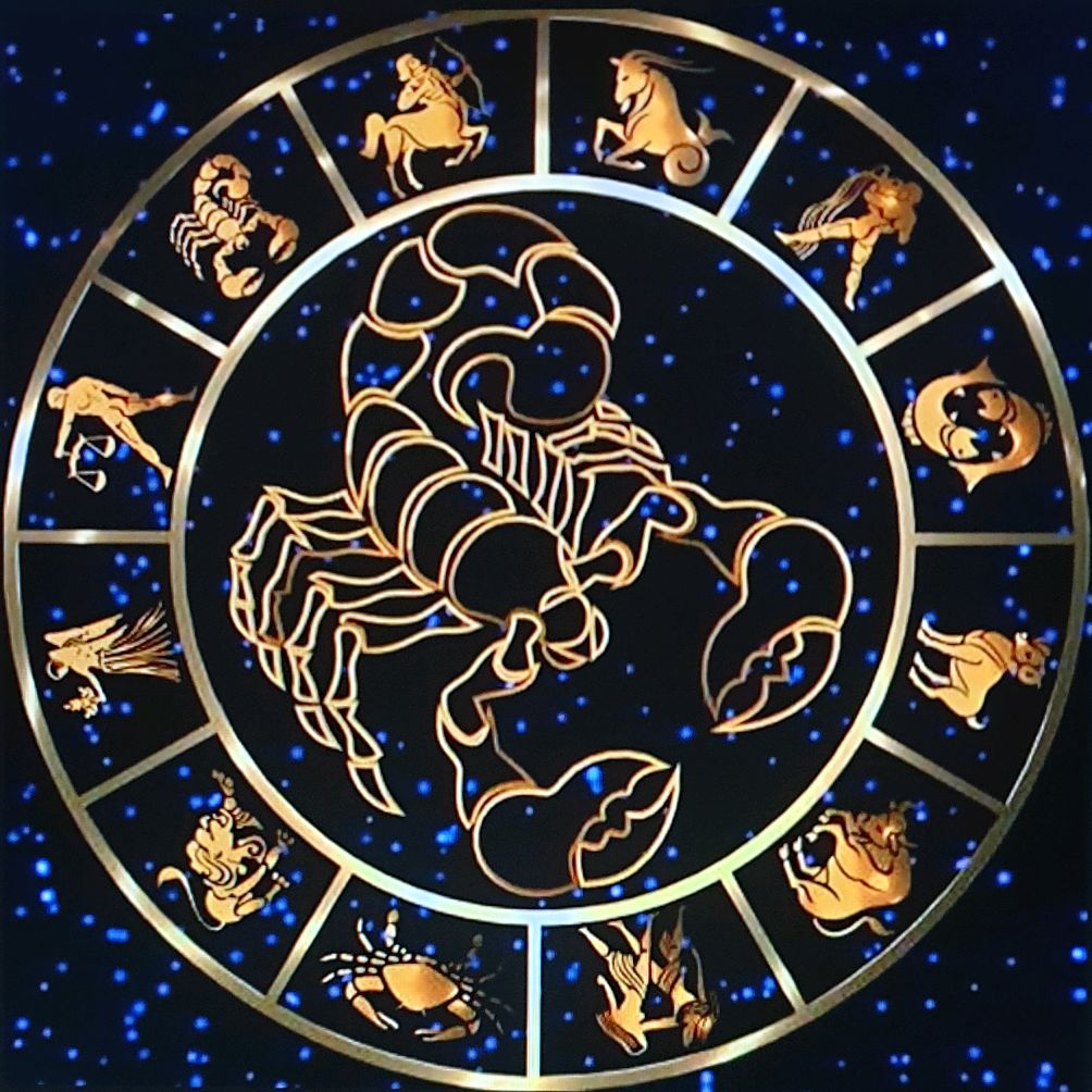 Scorpion