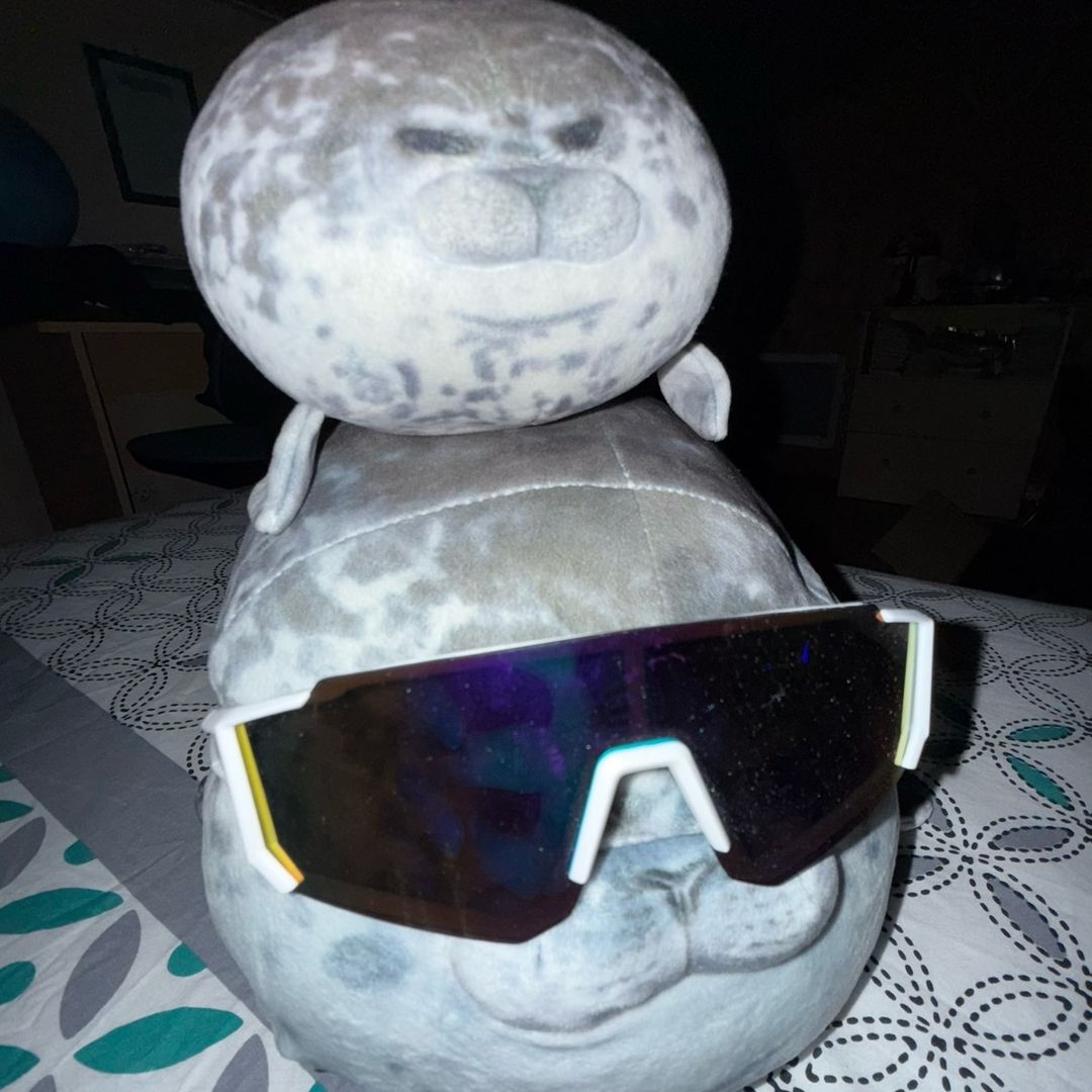 licht_silly_seal