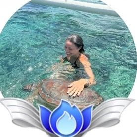 Lilitravel