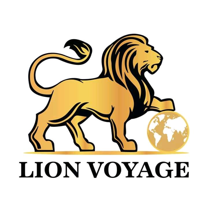 Lion voyage🦁