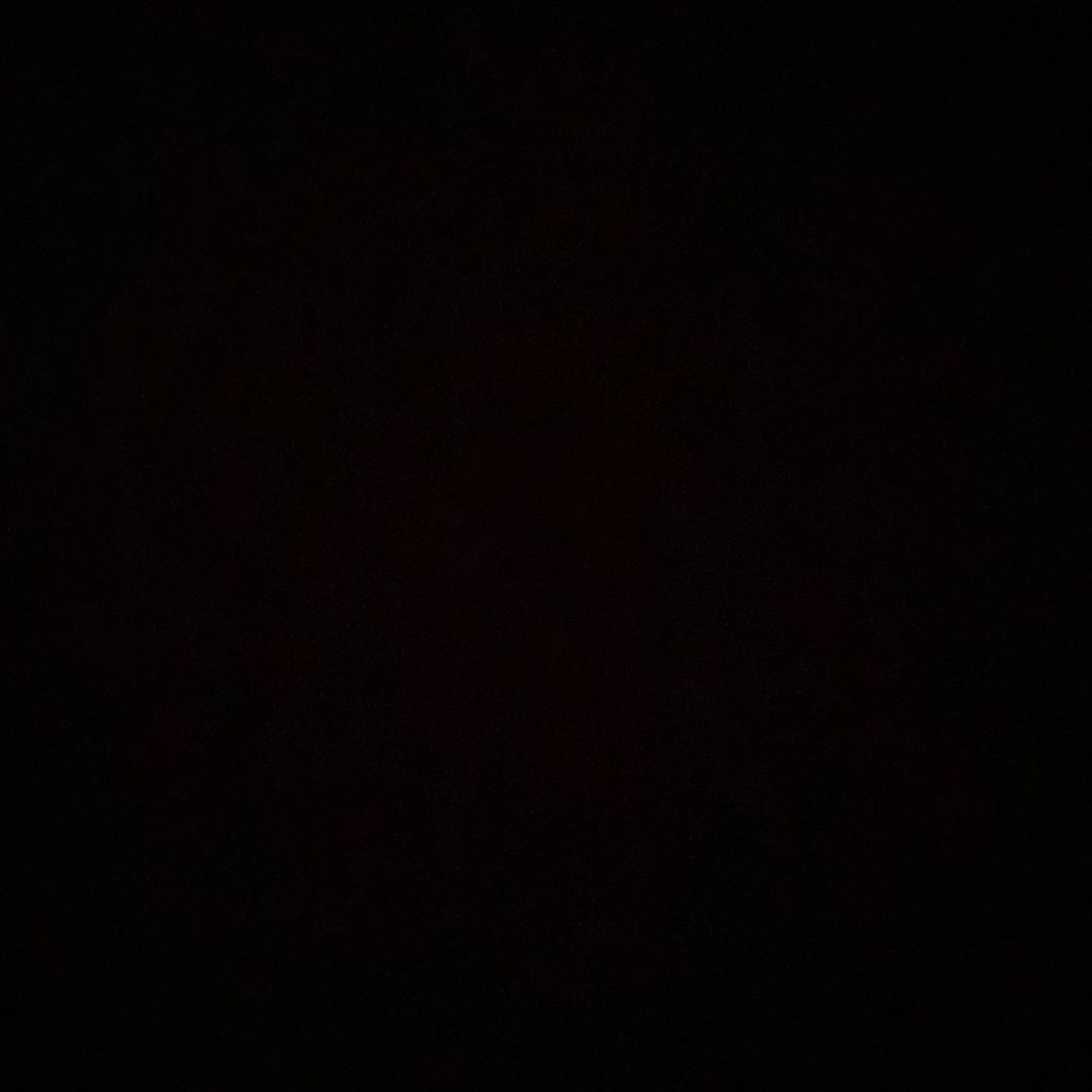 lipvideo.art