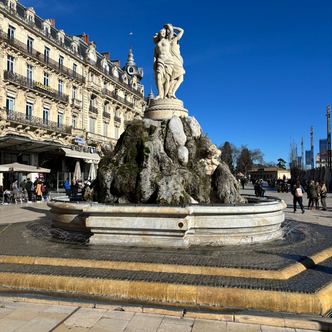 Montpellier Mood