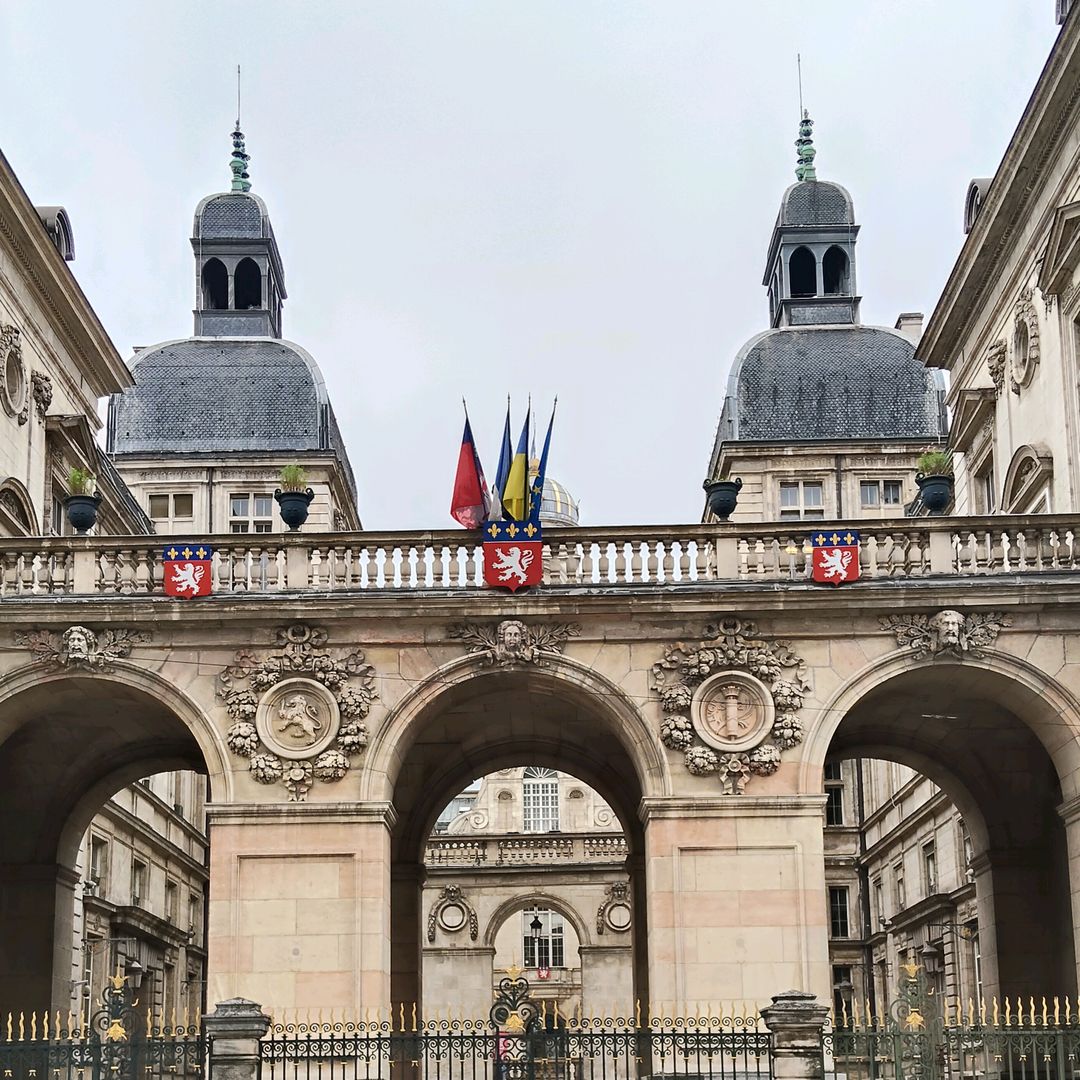 Moreta Lyon 🇫🇷