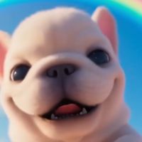 Pibble Fan Page