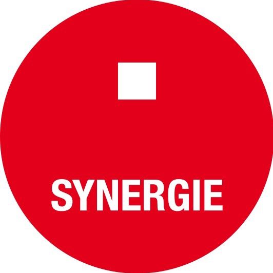 Synergie France