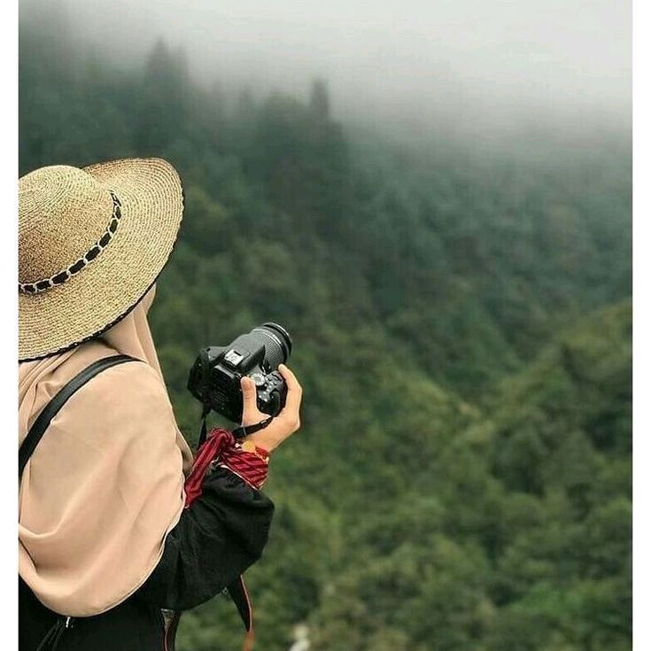 Travel Insights 🌏