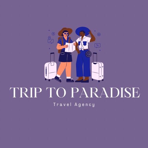 Travel Blog