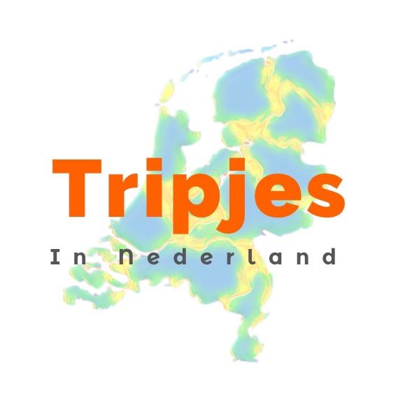 Tripjes in Nederland🇳🇱🦁