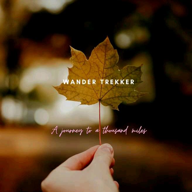 Wander Trekker ❣️