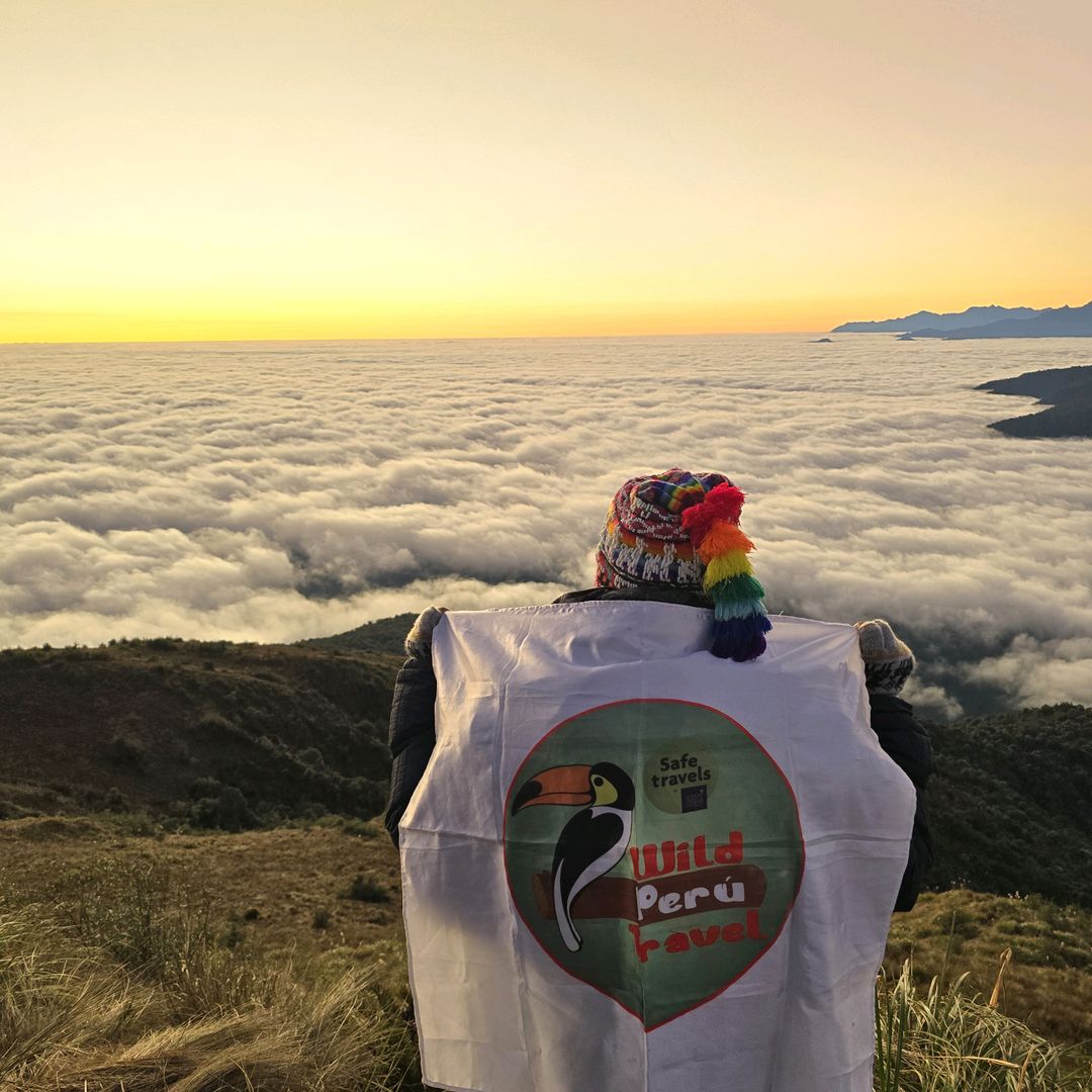 Wild Perú Travel